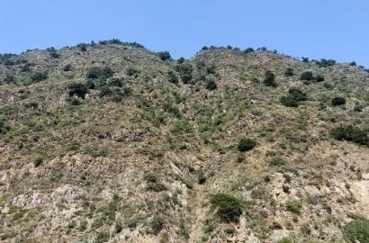 without repair 5-room house for sale